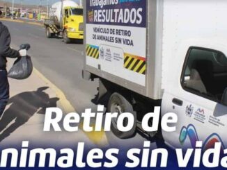 Ofrece municipio el servicio de retiro de animales sin vida en la vía pública