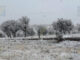 Frentes fríos provocarán vientos fuertes y posible nieve en Chihuahua